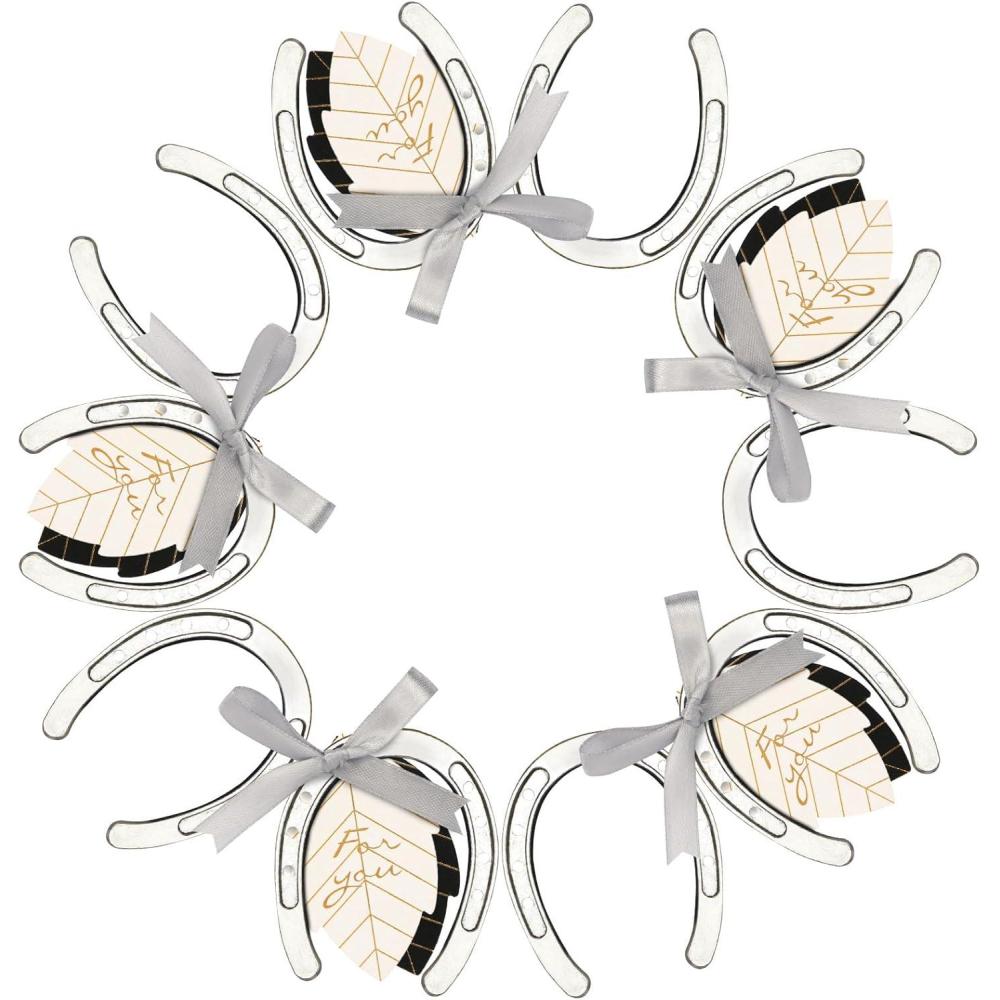 imageOurWarm 10PCS Gold Horseshoe Decor Wedding Favors with Black ampamp White Tags and Ribbon Stunning Horse Shoes Good Lucky Gifts for Wedding Birthday Kentucky Derby Party DecorationsSilver