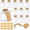 imageOurWarm 12 Pack Mini Jars with Lids 17OZ Small Glass Bottles with Cork Tag Label and Twine Versatile Small Glass Jars for Candy Potion Spice DIY Crafts Gift Birthday Wedding Party Decorations12pcs  17oz