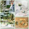 imageOurWarm Clear Wedding Card Box for Reception with Lock ampamp Slot Thick Acrylic Card Box for Party Large Eucalyptus Money Gift Card Storage Box for Wedding Graduation Birthday Baby Shower Decorations118 x 116 x 116 in