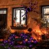 imageOurWarm 2 Pack Halloween Spider Decorations Outdoor 5ft ampamp 4ft Giant Spider Halloween Decorations with Purple LEDs Scary Large Spider Decorations for Halloween Outdoor Props Haunted House Yard Decor