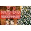 imageOurWarm 7FT Artificial Christmas Tree Snow Flocked Christmas Tree with Pine Cones Xmas Pine Tree for Indoor Outdoor Holiday Decorations with Foldable Metal Stand 1400 Branch Tips
