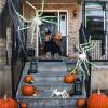 imageOurWarm 3 Pack Spiders Halloween Decorations 5ft ampamp 3ft ampamp 16ft Giant Spider Outdoor Decoration with Green LEDs Fake Halloween Spiders for Halloween Decorations Outside Props Haunted House Yard Decor