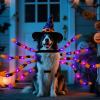 imageOurWarm Dog Halloween Costume for Large Dogs 64 LED Furry Giant Dog Spider Costume Funny Pet Halloween Costumes for Big XL Large Breed Pet Party Cosplay DecorOrange
