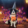 imageOurWarm Dog Halloween Costumes for Pets 64 LED Furry Giant Dog Spider Costume Funny Dog Costumes for Medium Large Dogs Halloween Party Decor Puppy Pets Outfits Cosplay