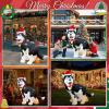 imageOurWarm 5 FT Christmas Inflatable Outdoor Decoration Funny Christmas Inflatables Husky Dog Pooping Christmas Blow Up Yard Decorations with LED Lights for Xmas Lawn Garden Party Christmas Decorations