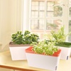 image:imageOurWarm Self Watering Pots for Indoor Plants 6 Pack 105 Inch Plastic Window Herb Planter Box with Water Level Indicator Modern Decorative Windowsill Planters for Herbs Flowers Seedlings3 Pack