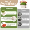 image:imageOurWarm Self Watering Pots for Indoor Plants 6 Pack 105 Inch Plastic Window Herb Planter Box with Water Level Indicator Modern Decorative Windowsill Planters for Herbs Flowers Seedlings6 Pack