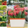 image:imageOurWarm Self Watering Pots for Indoor Plants 6 Pack 105 Inch Plastic Window Herb Planter Box with Water Level Indicator Modern Decorative Windowsill Planters for Herbs Flowers Seedlings3 Pack