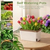 image:imageOurWarm Self Watering Pots for Indoor Plants 6 Pack 105 Inch Plastic Window Herb Planter Box with Water Level Indicator Modern Decorative Windowsill Planters for Herbs Flowers Seedlings6 Pack