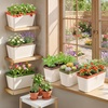 image:imageOurWarm Self Watering Pots for Indoor Plants 6 Pack 105 Inch Plastic Window Herb Planter Box with Water Level Indicator Modern Decorative Windowsill Planters for Herbs Flowers Seedlings6 Pack