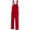 imageCREATMO US Boys Snow Bibs Kids Ski Pants Waterproof Insulated Winter OverallsRed