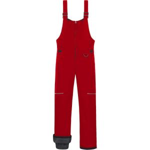imageCREATMO US Boys Snow Bibs Kids Ski Pants Waterproof Insulated Winter OverallsRed