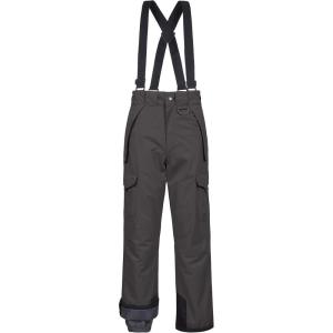 imageCREATMO US Mens Snow Pants Ski Bibs Waterproof Insulated Winter Snowboard CargoGrey