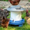 imageAmerican Home SelfFilling Farmstead Chicken Feeder 30 lb Capacity Fits Standard 5Gallon Bucket Outdoor WeatherResistant DesignBlue