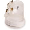 image:imageMUK LUKS womens Grand Cayman SandalClear