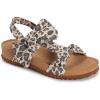 Cream Leopard