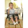 imagePeg Perego Poke High Chair  Modern and Easy to Clean  from 6 to 36 Months  Frosty Green Soft SageMidnight Sky