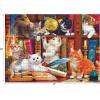 imageRoseArt  Kodak Premium  Love is Everywhere  1000 Piece Jigsaw Puzzle for AdultsLibrary Mischief