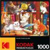 imageRoseArt  Kodak Premium  Love is Everywhere  1000 Piece Jigsaw Puzzle for AdultsLibrary Mischief