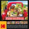 imageRoseArt  Kodak Premium  Stowaways  1000 Piece Jigsaw Puzzle for AdultsStowaways