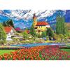 Brienz Town and Flowers