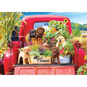 imageRoseArt  Kodak Premium  Stowaways  1000 Piece Jigsaw Puzzle for AdultsStowaways