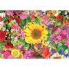 imageCraZArt KODAK Premium Puzzles Colorful Flower Bed 1500 pc