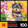 imageRoseArt  Kodak Premium  Panda Playtime  100 Piece Jigsaw Puzzle for AdultsBucket Buddies
