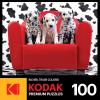 imageRoseArt  Kodak Premium  Panda Playtime  100 Piece Jigsaw Puzzle for AdultsLots of Spots