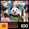 imageRoseArt  Kodak Premium  Panda Playtime  100 Piece Jigsaw Puzzle for AdultsPanda Playtime