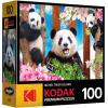 imageRoseArt  Kodak Premium  Panda Playtime  100 Piece Jigsaw Puzzle for AdultsPanda Playtime