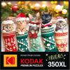 imageRoseArt  Kodak Premium  Puppies on a Picnic  350 Piece Jigsaw Puzzle for AdultsKitten Stockings