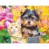 Bucket Buddies