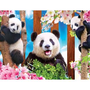 imageRoseArt  Kodak Premium  Panda Playtime  100 Piece Jigsaw Puzzle for AdultsPanda Playtime