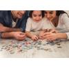 imageRoseArt  Kodak Premium  Route 661000 Piece Jigsaw Puzzle for AdultsFriendly Birds