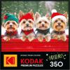 imageRoseArt  Kodak Premium  Christmas Magic  1000 Piece Jigsaw Puzzle for AdultsYorkie Holidays