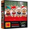 imageRoseArt  Kodak Premium  Christmas Magic  1000 Piece Jigsaw Puzzle for AdultsYorkie Holidays