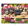 image:imageRoseArt  Kodak  Maine Road 350 Piece Jigsaw Puzzle Scenic Autumn Landscape Puzzle for AdultsMarket Puppies