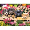 image:imageRoseArt  Kodak  Maine Road 350 Piece Jigsaw Puzzle Scenic Autumn Landscape Puzzle for AdultsMarket Puppies