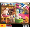image:imageRoseArt  Kodak Premium  Brandons Bookstore  3000 Piece Jigsaw Puzzle for AdultsKittens by The Fireplace