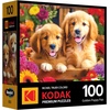 image:imageRoseArt  Kodak Premium  Golden Puppy Pals  100 Piece Jigsaw Puzzle for AdultsGolden Puppy Pals