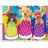 image:imageRoseArt  Kodak Premium  Golden Puppy Pals  100 Piece Jigsaw Puzzle for AdultsPuppy Socks