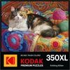 image:imageRoseArt  Kodak Premium  Songbirds 2350 Piece Jigsaw Puzzle for AdultsKnitting Kitten