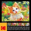 image:imageRoseArt  Kodak Premium Mosaics  Rainbow Tiger  750 Piece Jigsaw Puzzle for AdultsCute Kittens In The Flowers