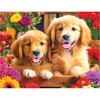 image:imageRoseArt  Kodak Premium  Golden Puppy Pals  100 Piece Jigsaw Puzzle for AdultsGolden Puppy Pals