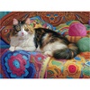 Knitting Kitten