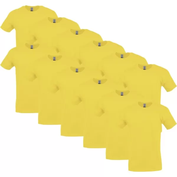 Daisy (12-pack)