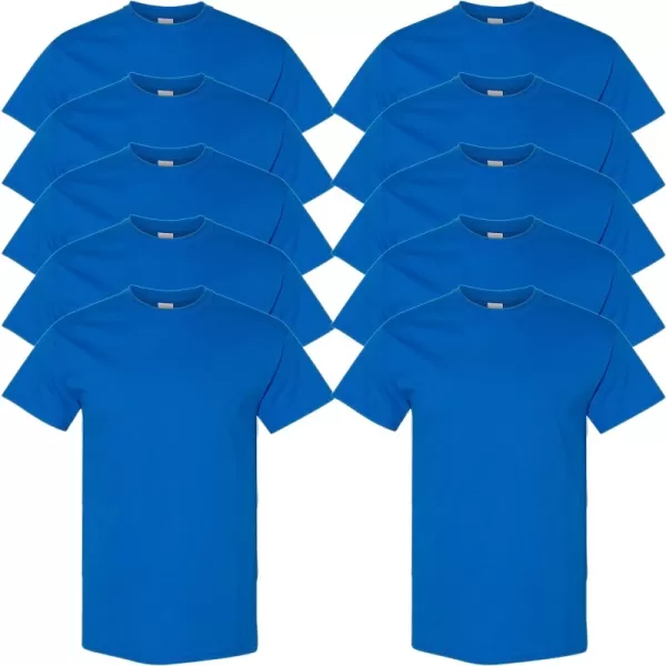 Royal (10-pack)