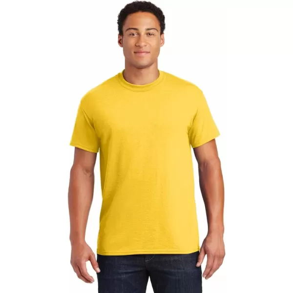 Daisy (2-pack)
