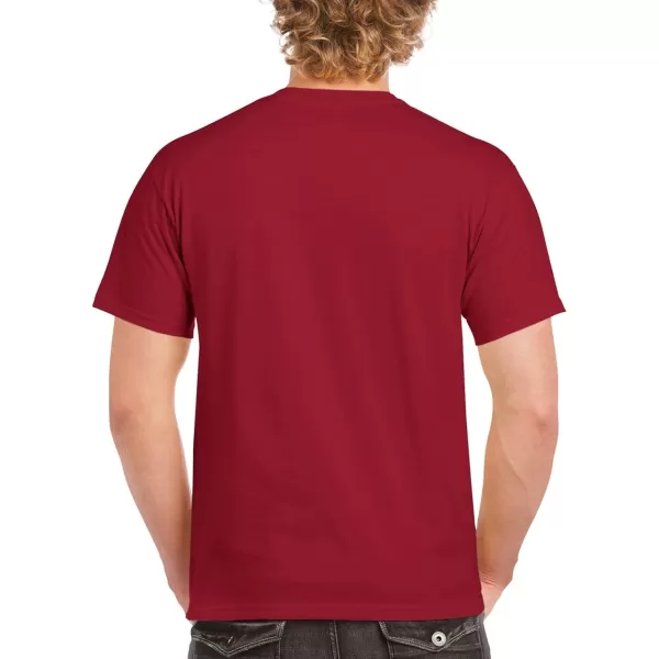 Gildan Adult Ultra Cotton T-shirt, Style G2000, Multipack)
